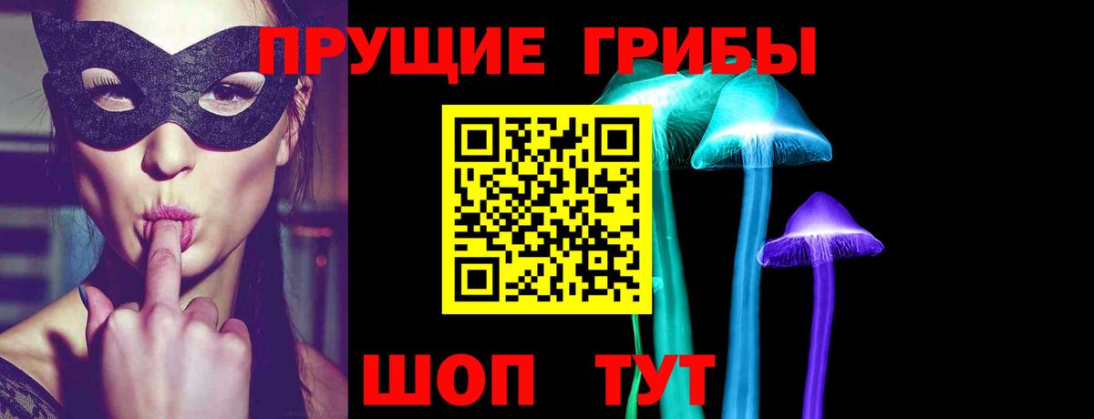 Галлюциногенные грибы GOLDEN TEACHER  Псилоцибиновые грибы Cubensis  Вход с VPN  Владимир 