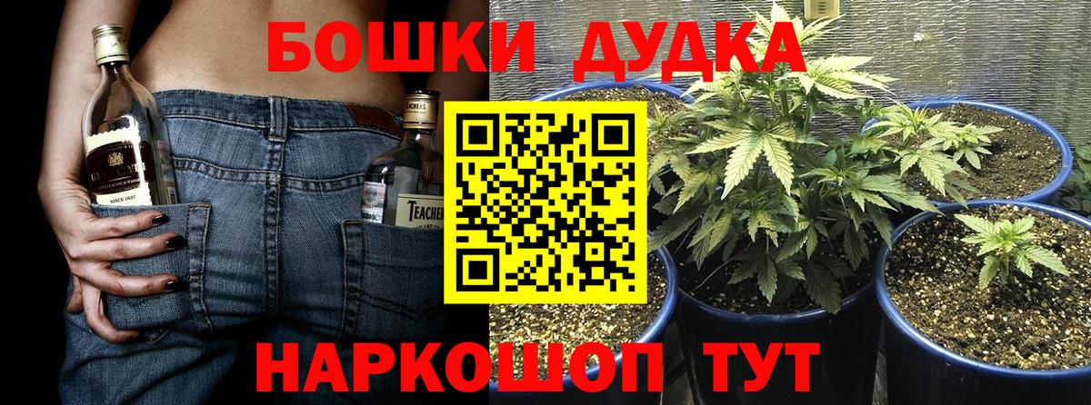 Владимир  Марихуана план  Канабис Bruce Banner  Каннабис план  Вход с VPN 